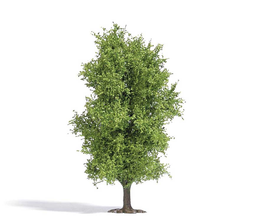Image for 189-3721 Deciduous Tree Spring