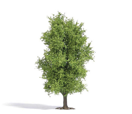 Image for 189-3721 Deciduous Tree Spring