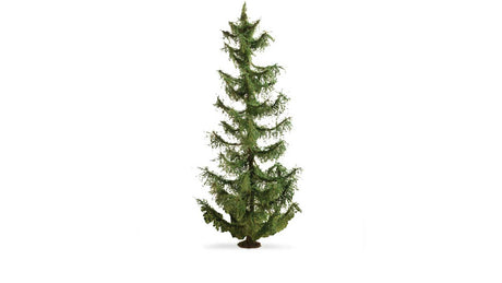 Image for 528-20191 Spruce Tree