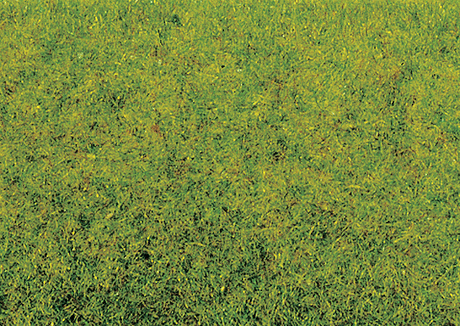 Image for 528-8300 Static Grass Spring   20g