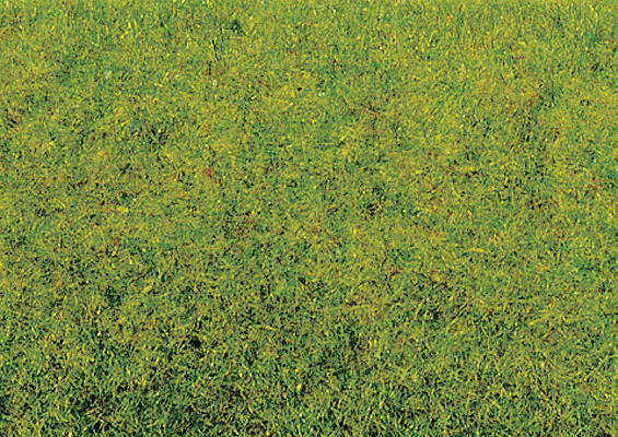 Image for 528-8300 Static Grass Spring   20g