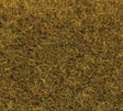 Image for 272-170770 Grnd Cvr Grass Grn    80g
