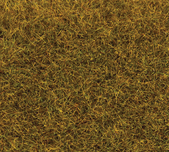 Image for 272-170770 Grnd Cvr Grass Grn    80g