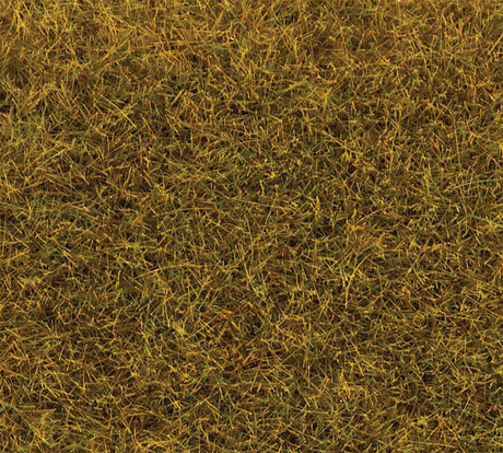 Image for 272-170770 Grnd Cvr Grass Grn    80g