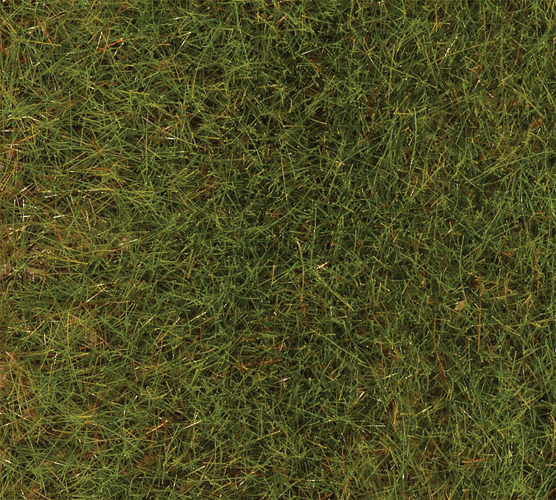 Image for 272-170771 Grnd Cvr Spring Mdw   80g