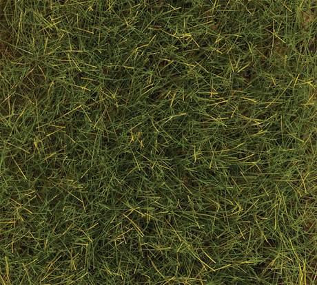 Image for 272-170774 Grnd Cvr Summer Mdw   80g