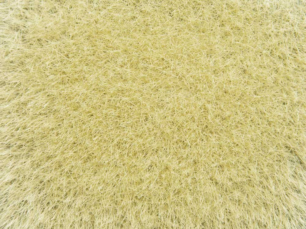 Image for 528-7119 Wild Grass Golden Yellow