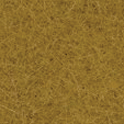 Image for 528-7111 Wild Grass XL Beige   40g