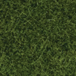 Image for 528-7112 Wild Grass XL Lt Grn  40g