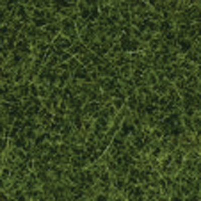 Image for 528-7112 Wild Grass XL Lt Grn  40g