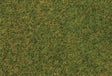 Image for 272-170206 Wild Grass Early 30g
