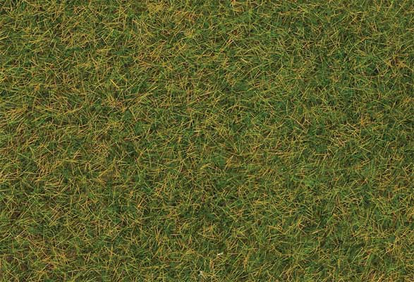 Image for 272-170206 Wild Grass Early 30g