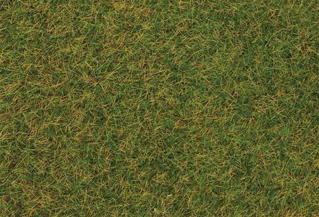 Image for 272-170206 Wild Grass Early 30g