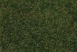 Image for 272-170208 Wild Grass Dk Green 30g