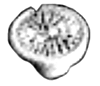 Image for 229-8413 Manhole cover          2/