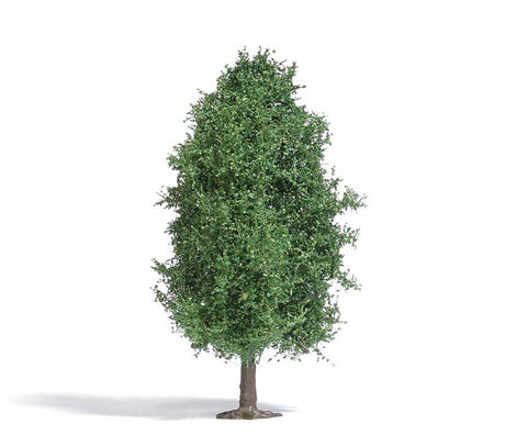 Image for 189-3722 Deciduous Tree Summer