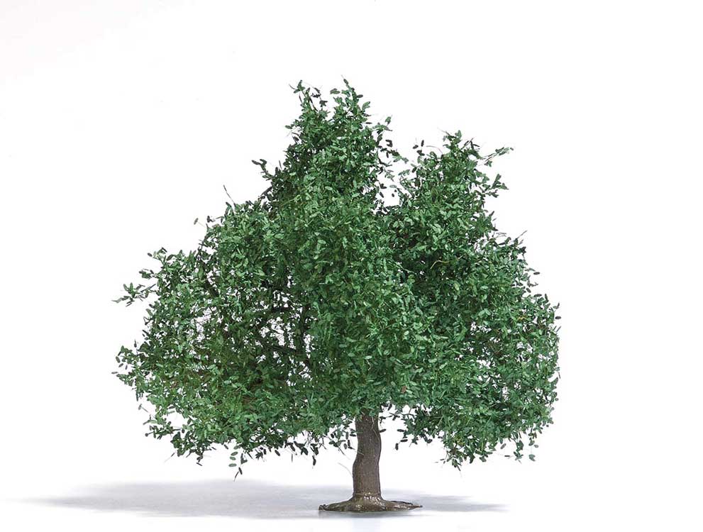 Image for 189-3662 Fruit Tree/Sm Oak Summer
