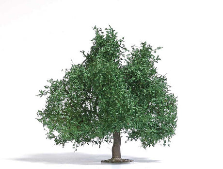Image for 189-3662 Fruit Tree/Sm Oak Summer