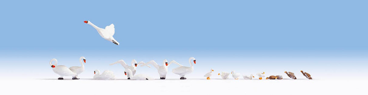 Image for 528-15774 Swans & Ducks 17/