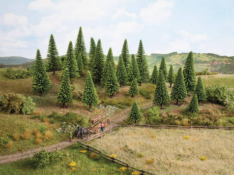Image for 528-26827 Spruce Trees 16-19cm 10/