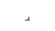 Image for 528-10602 Teenager on Skateboard
