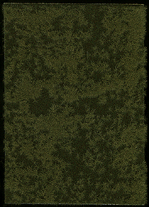 Image for 189-1306 Grndcvr Lt Sprng/Ey Smmr