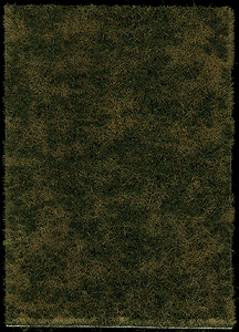 Image for 189-1308 Grndcvr Edge Forest Grass