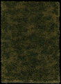 Image for 189-1308 Grndcvr Edge Forest Grass
