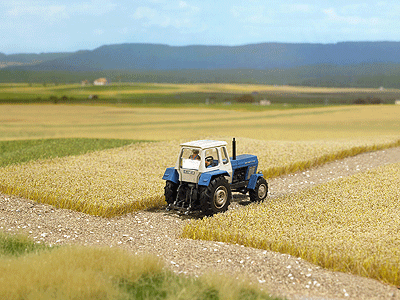 Image for 189-1310 Grndcvr Cornfield Hrvstd