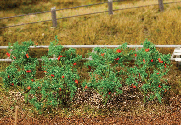 Image for 272-181259 Tomato Plants 18/