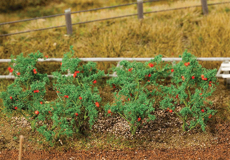 Image for 272-181259 Tomato Plants 18/