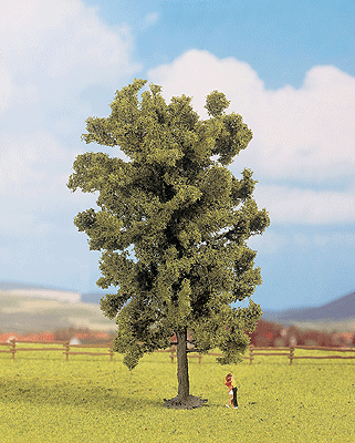 Image for 528-25880 Lime Tree 19cm, 6 5/16