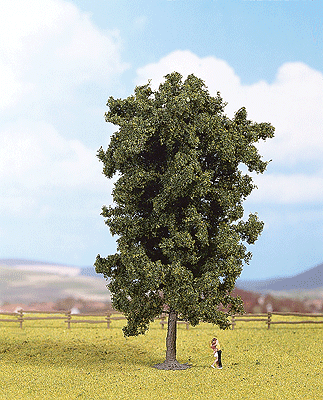 Image for 528-25895 Horse Chesnut Tree 19cm