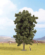 Image for 528-25895 Horse Chesnut Tree 19cm