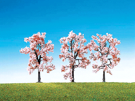 Image for 272-181406 Cherry trees           3/
