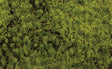 Image for 160-32921 Tufted Grass Light Grn
