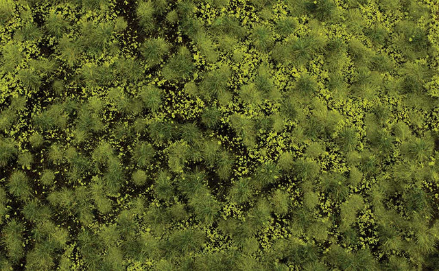 Image for 160-32921 Tufted Grass Light Grn