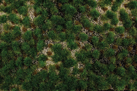 Image for 160-32924 Tufted Grass Wstrn Range