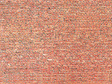 Image for 272-222559 Tunnel Wall Card Red Brck