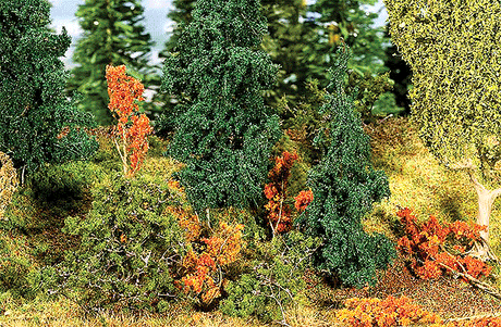 Image for 272-181255 Undergrowth Plants 60/