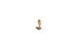 Image for 528-10803 Venus