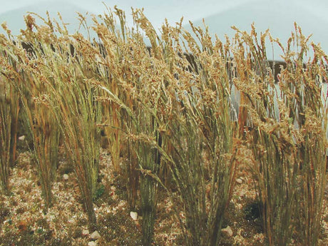 Image for 160-32508 Wheat 1" Tall 40/