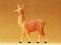 Image for 590-47528 Young Llama