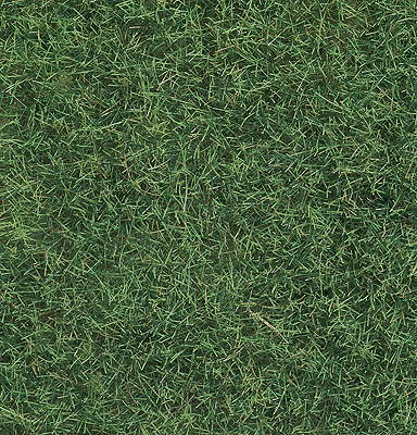 Image for 528-7102 Wild Grass Lght Grn   50g