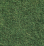 Image for 528-7102 Wild Grass Lght Grn   50g