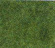 Image for 189-7370 Wild grass dark green