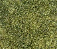 Image for 189-7371 Wild grass Spring Green