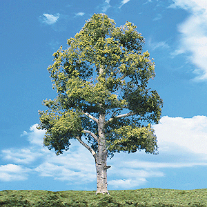 Woodland Scenics 3533 Woodland Classic Trees(R) Ready Made - Waters Edge -- 2 to 3"  5.1 to 7.6cm Tall pkg(4) A Scale