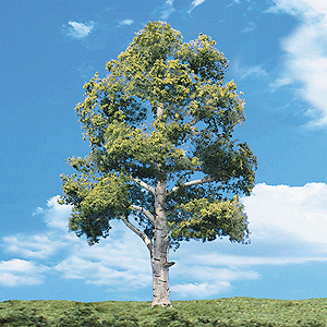 Woodland Scenics 3535 Woodland Classic Trees(R) Ready Made - Waters Edge -- 4 to 5"  10.1 to 12.7cm Tall pkg(3) A Scale