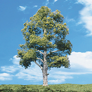 Woodland Scenics 3536 Woodland Classic Trees(R) Ready Made - Waters Edge -- 5 to 6"  12.7 to 15.2cm Tall pkg(2) A Scale